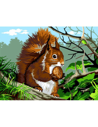 Canevas : 40x50 cm, L'écureuil