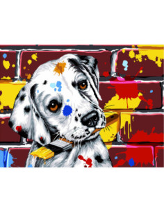 Canevas : 40x50 cm, petit graffeur