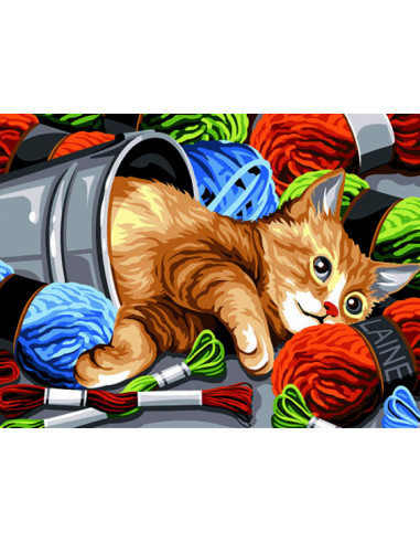 Canevas : 40x50 cm, couleur en pelote