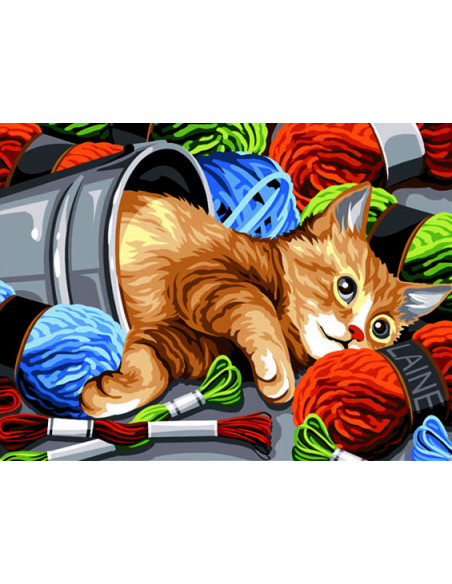 Canevas : 40x50 cm, couleur en pelote