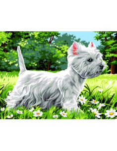Canevas : 40x50 cm, Westie