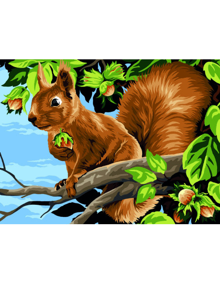 Canevas : 40x50 cm, les noisettes