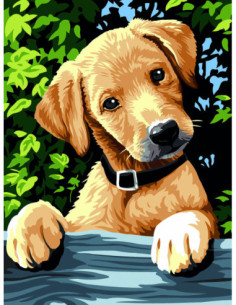 Canevas : 40x50 cm, surprise