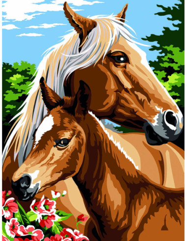 Canevas : 40x50 cm, mon poulain