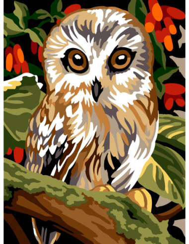 Canevas : 40x50 cm, N21 - chouette
