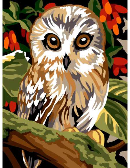 Canevas : 40x50 cm, N21 - chouette