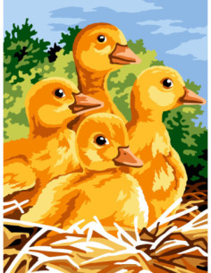 Canevas : 40x50 cm, N22 - quatuor de caneton