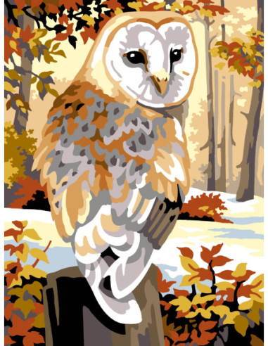 Canevas : 40x50 cm, N23 - la chouette