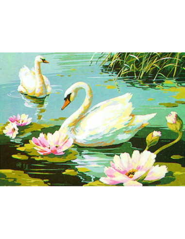 Canevas : 45x60 cm, les cygnes