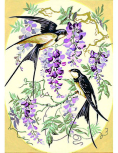 Canevas : 45x60 cm, hirondelles & gly.