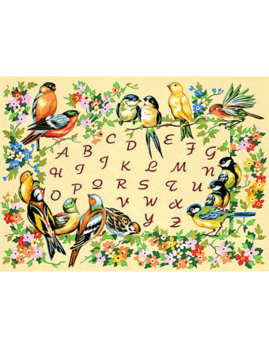 Canevas : 45x60 cm, alphabet oiseaux