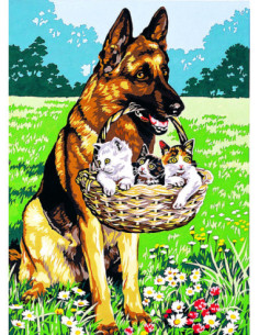 Canevas : 45x60 cm, La trouvaille