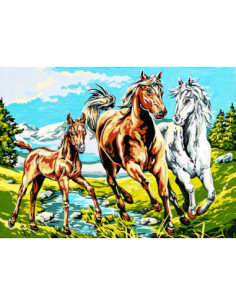 Canevas : 45x60 cm, La premier ballade