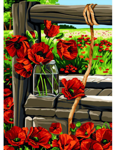 Canevas : 45x60 cm, le vieux puits aux coquelicots
