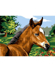 Canevas : 45x60 cm, N21 - poulain