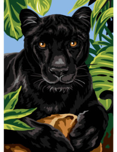 Canevas : 45x60 cm, N21 - panthère noire