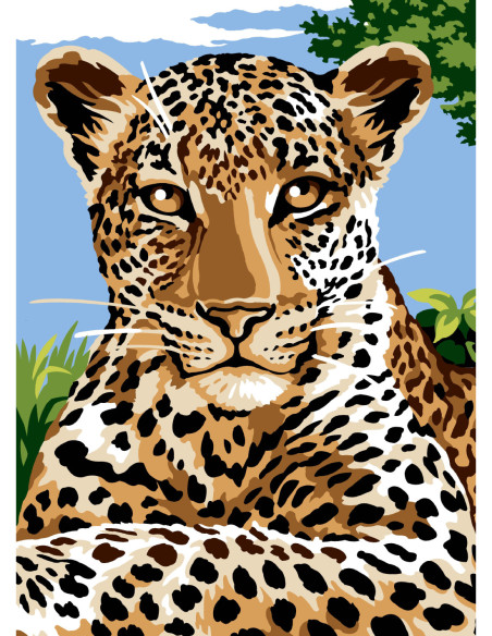 Canevas : 45x60 cm, N21 - léopard