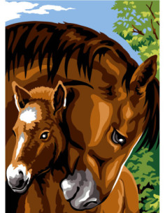 Canevas : 45x60 cm, N21 - câlin équidé
