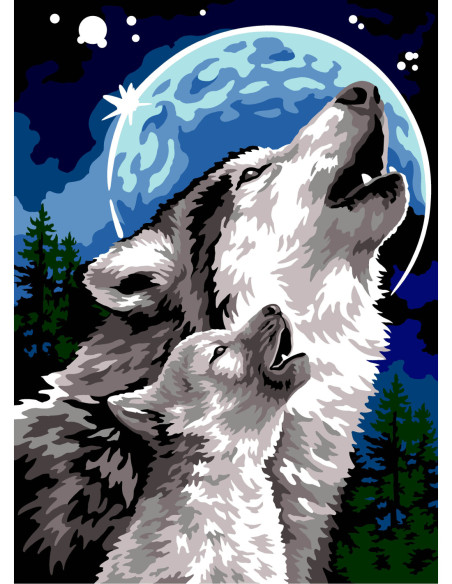 Canevas : 45x60 cm, N21- ode a la lune