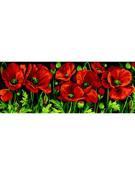 Canevas : 25x60 cm, Coquelicots