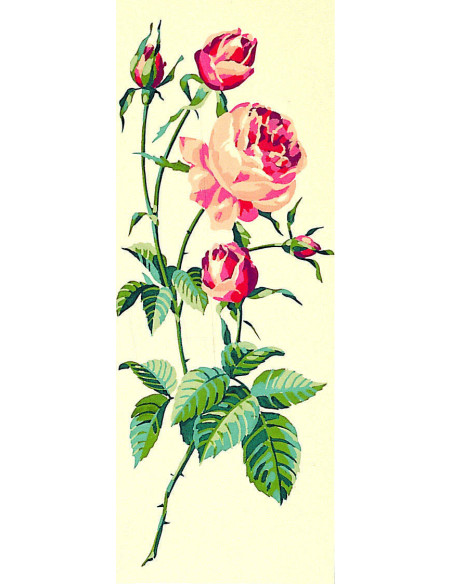 Canevas : 25x60 cm, rose