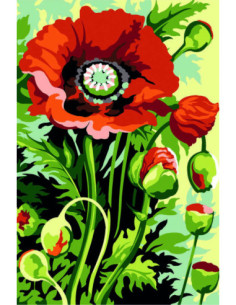 Canevas : 30x40 cm, coquelicot