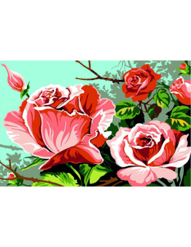 Canevas : 30x40 cm, roses
