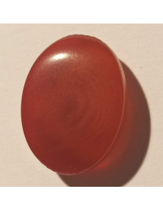 Bouton polyester à pied, 13mm, ovale bordeaux