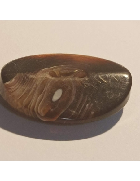 Bouton polyester 2 trous, 23mm, ovale marron