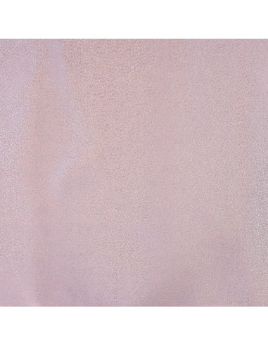 Tissu, Denim Stretch Pailleté, Rose Multicolore, Laize 140 cm, 90% Coton 260g/m²