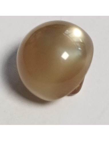 Bouton polyester à pied, 12 mm, rond, marron