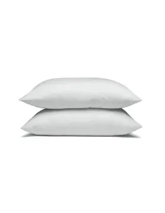 Intérieur de coussin 30 x 50 cm | Zephyr Tissus
