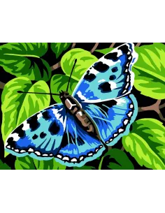 Kit canevas : 20x25 cm, blanc : Papillon