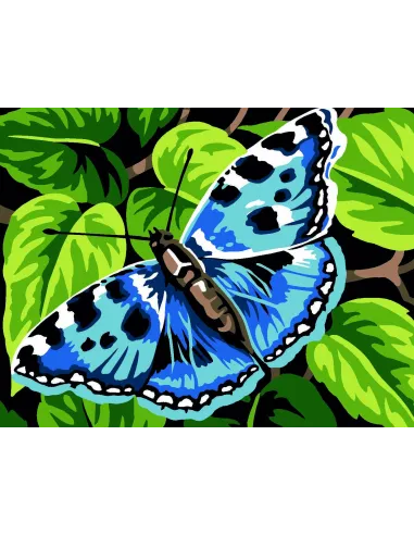 Kit canevas : 20x25 cm, blanc : Papillon