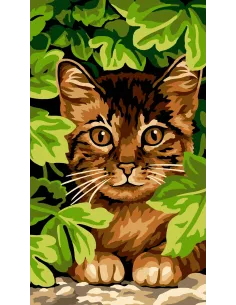 Canevas : 45x55 cm, N24 - cache verte
