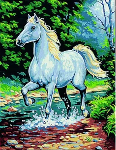 Canevas : 50x65 cm, Le cheval blanc