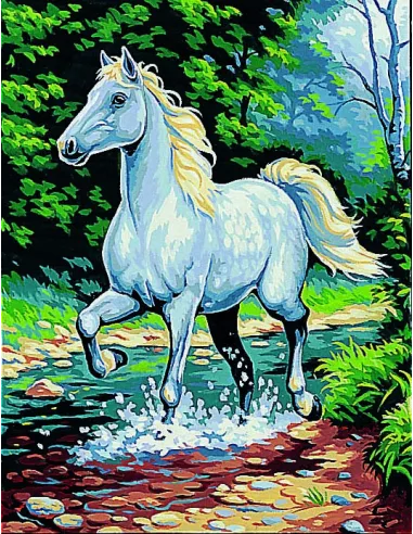 Canevas : 50x65 cm, Le cheval blanc