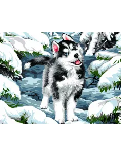 Canevas : 50x65 cm, Cache neige