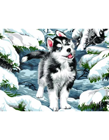 Canevas : 50x65 cm, Cache neige
