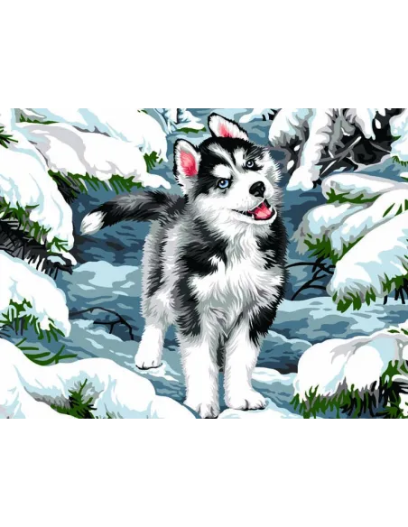 Canevas : 50x65 cm, Cache neige