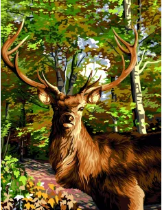 Canevas : 50x65 cm, Le prince des bois