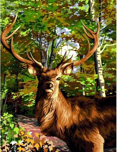 Canevas : 50x65 cm, Le prince des bois