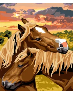 Canevas : 60x70 cm, N23 - la rencontre