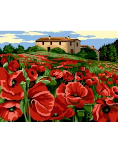 Canevas : 60x80 cm, N20 - champs rouge