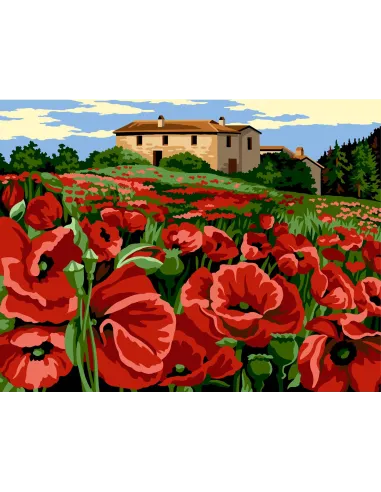 Canevas : 60x80 cm, N20 - champs rouge