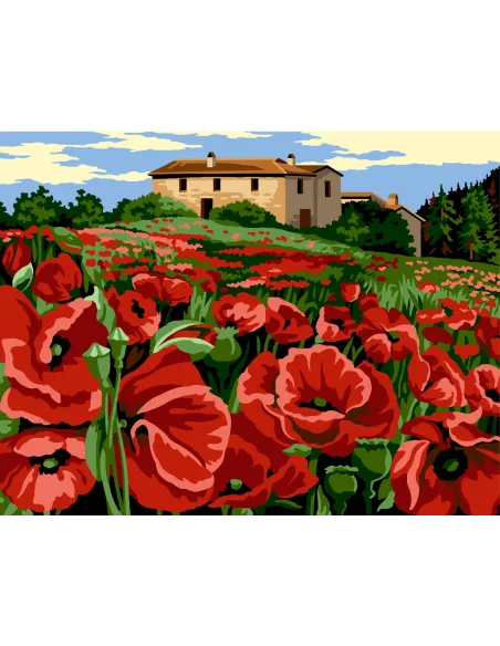 Canevas : 60x80 cm, N20 - champs rouge