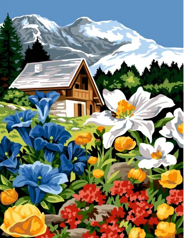 Canevas : 60x80 cm, N20 - vue du sommet