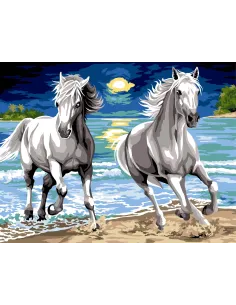 Canevas : 60x80 cm, N21 - galop nocturne