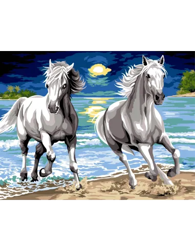 Canevas : 60x80 cm, N21 - galop nocturne