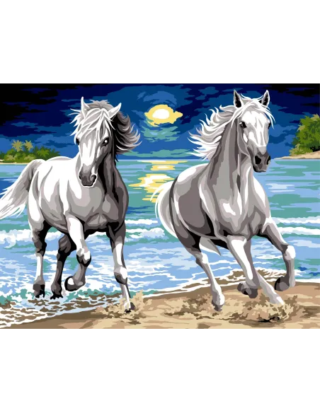 Canevas : 60x80 cm, N21 - galop nocturne